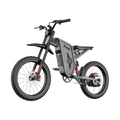 Freego X2 Pro All-Terrain Dirt eBike