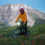 Freego X3 / X3 Pro All-Terrain Electric Dirt Bike with Pedals